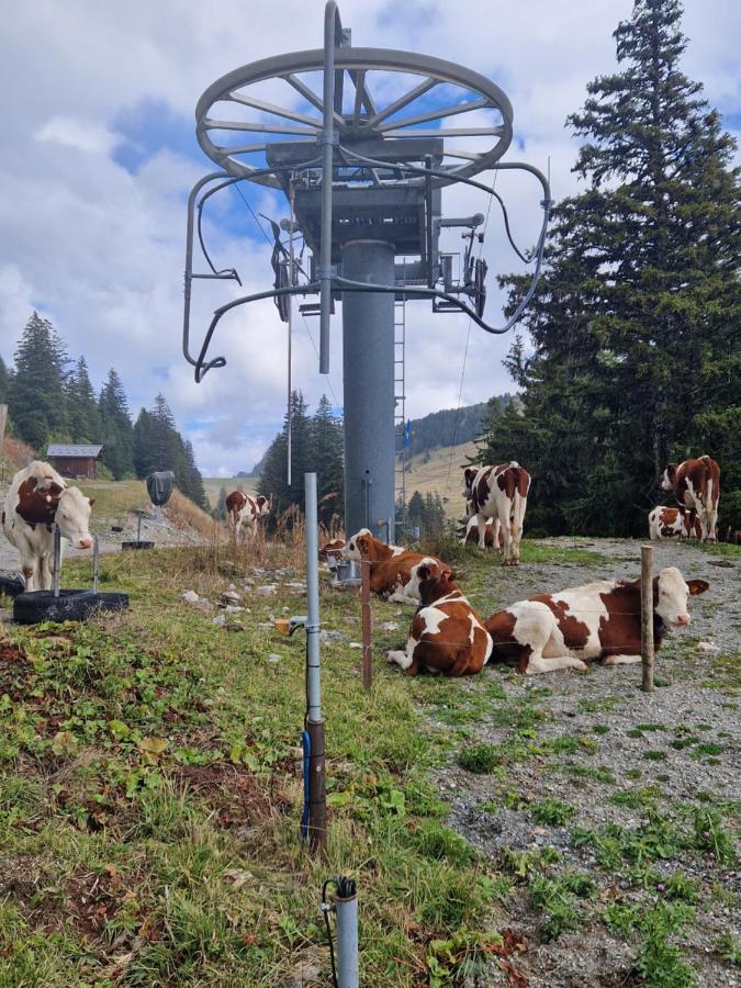 Appartement Tout Confort Montagne Et Lac Leman Thollon-les-Memises Zewnętrze zdjęcie